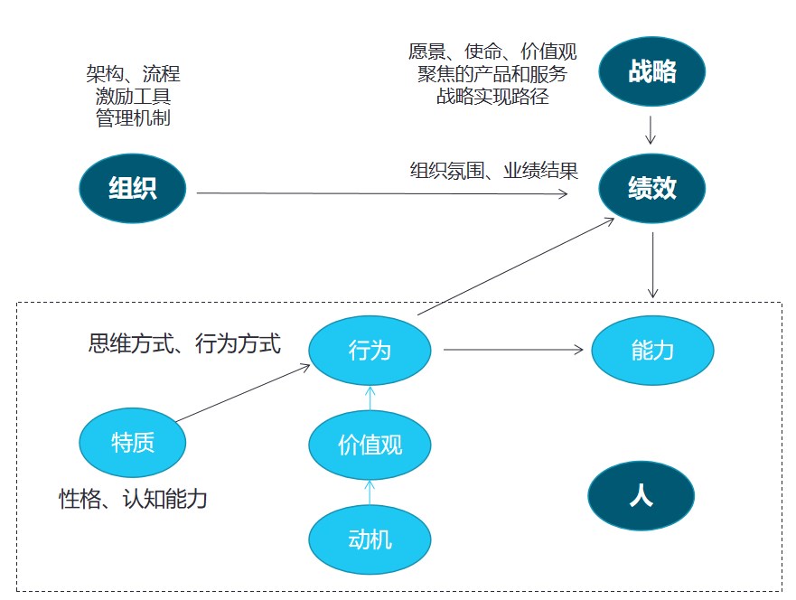 组织设计1.jpg